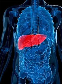 Diagnosticul hepatitei cronice C