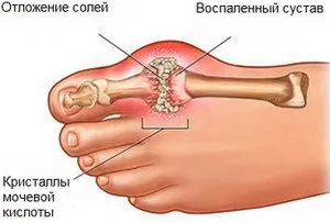 folosite