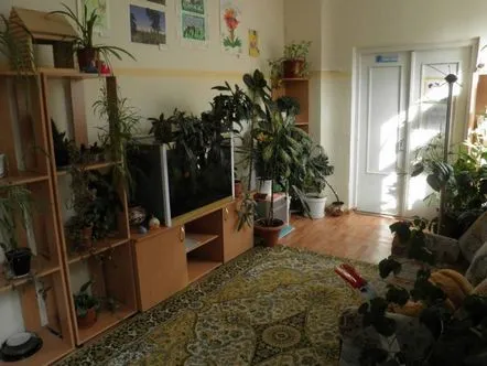 Plante de interior acasă, holuri și camere de zi