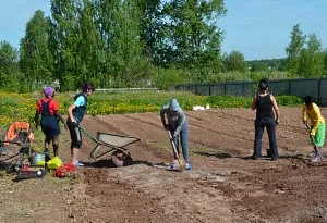 Ce muncă de primăvară îi așteaptă pe rezidenții de vară în grădină