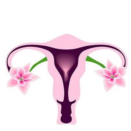 uterină