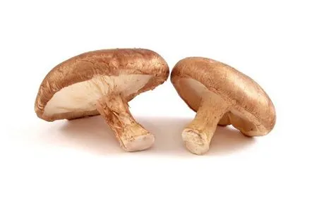 Ciupercile Shiitake beneficiază și dăunează proprietăților medicinale