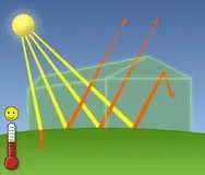 Determinarea temperaturii în seră și metode de menținere a nivelului optim