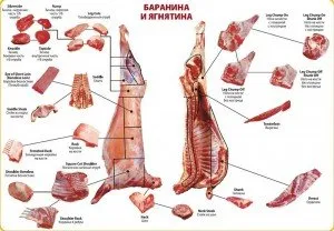 Beneficiile și proprietățile utile ale carnei de oaie