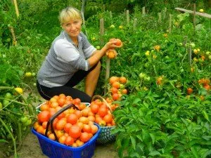 Gunoiul de grajd ca ingrasamant organic in tara