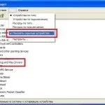 Device Manager pentru Windows XP