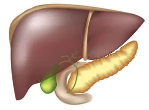 Hepatomegalie hepatică, hepatoză grasă cauze, simptome și tratament