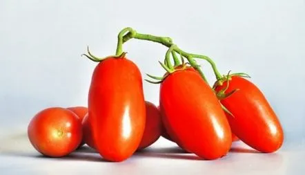 Descrierea soiului de tomate Siberian Troika, recenzii, fotografii, caracteristici