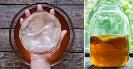 Cum afectează kombucha tensiunea arterială, o scade sau o crește, cum să bei cu tensiune arterială ridicată și scăzută