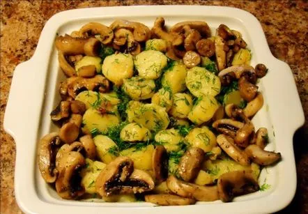 porcini