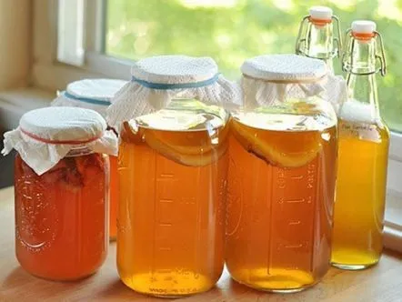 kombucha