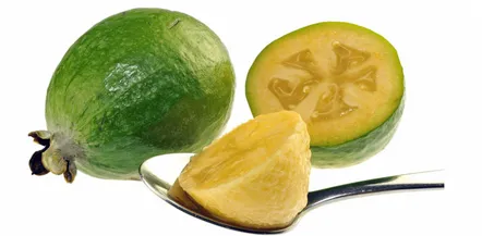 feijoa