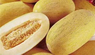 Melon - „miere castravete“ sau boabe încă delicioase