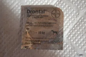 Drontal плюс