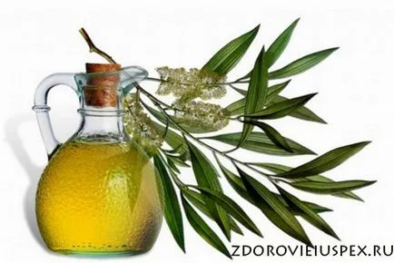 Uleiul esential, fata de jojoba, utilizate în cosmetologie