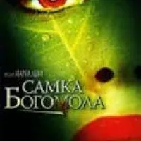 Cum te simți în legătură cu un prieten Cum te simți în legătură cu un prieten