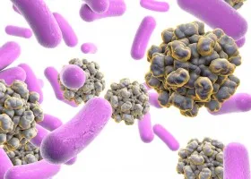 Hepatita cum să facă Hepatita cum să facă