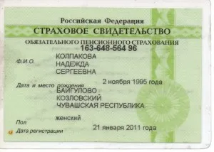Cum de a verifica snils prin Internet