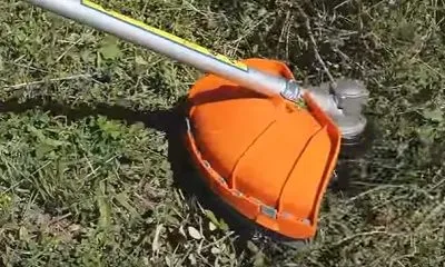 Cum de a alege un trimmer recenzii