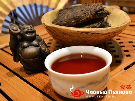 Cum de a alege Puer Cum de a alege Puer