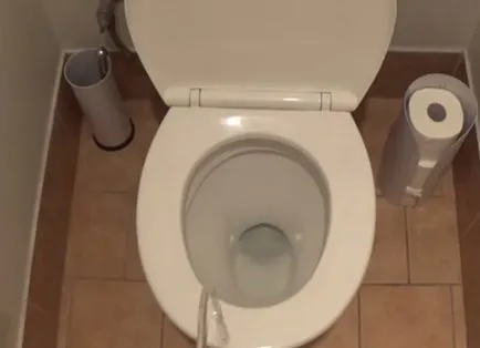 Cum am devenit o toaletă
