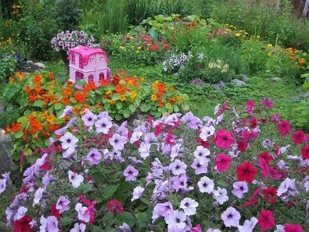 Ce a planta Petunia