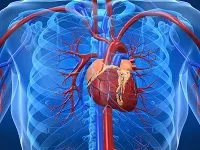 Hepatita cum să facă