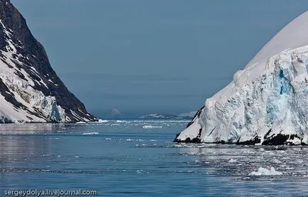 Cum de a trăi pe Antarctica