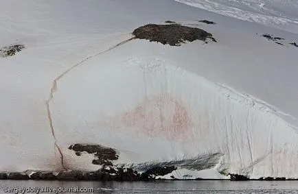 Cum de a trăi pe Antarctica