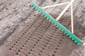 Cum de a planta usturoi Cum de a planta usturoi