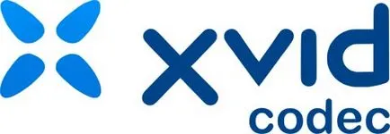 Ce este un XviD Codec