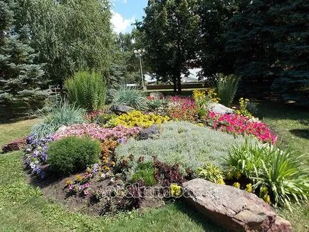 Paturi de design și paturi de flori