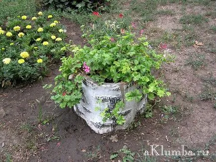 Paturi de design și paturi de flori