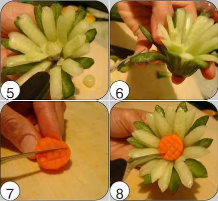 master-class de fructe