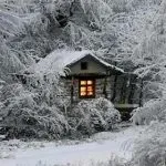 Voi fi înapoi ca va fi în limba engleză