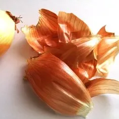 Cum de a cultiva plante de interior Cum de a cultiva plante de interior