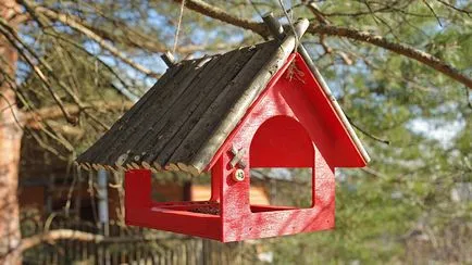 Efectuarea fermelor de păsări cu propriile lor mâini