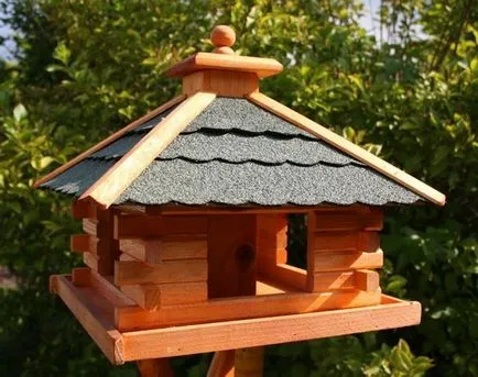Ce este un jgheab pentru hrana păsărilor Ce este un jgheab pentru hrana păsărilor