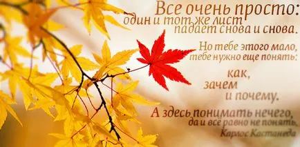 Ce este dragostea fraze frumoase