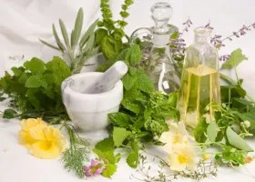 remedii populare pentru tratarea herpesului remedii populare pentru tratarea herpesului