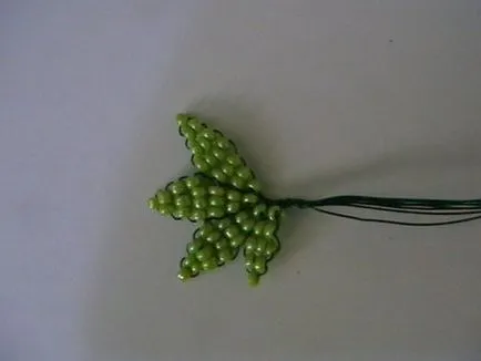 Beaded frunze Masterclass