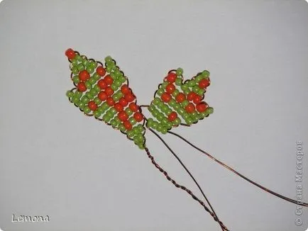 Beaded frunze Masterclass Beaded frunze Masterclass