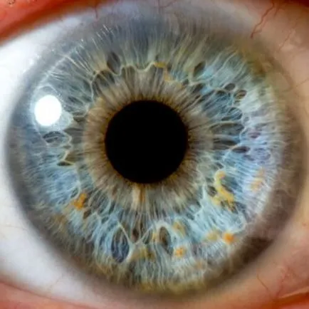 Decât pentru tratarea glaucomului