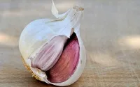 Ceea ce este făcut din jujube