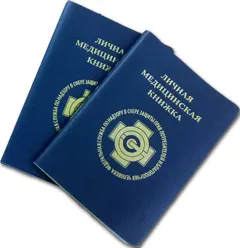 Ce trebuie să sanknizhki