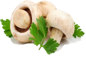 Cum se marineze ciuperci