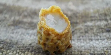 Ce este lăptișor de matcă Ce este lăptișor de matcă