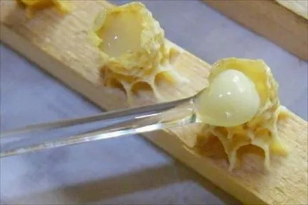 Ce este lăptișor de matcă