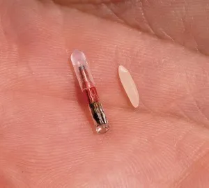 Microchip ce este Microchip ce este
