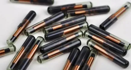 Microchip ce este